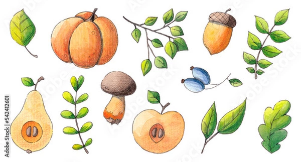 Obraz Autumn illustration: pumpkins, leaves, mushrooms. A set of watercolor illustrations on a white background.