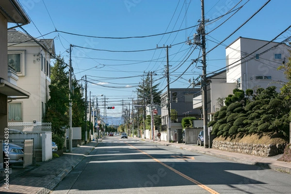 Obraz 学園通り（東京都国立市）