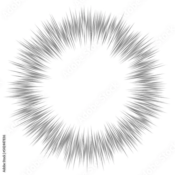 Obraz フラッシュ　モノクロ