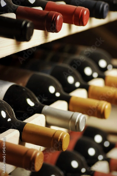 Obraz Wine bottles