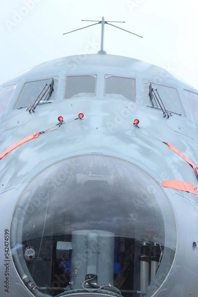 Obraz Avion gros plan