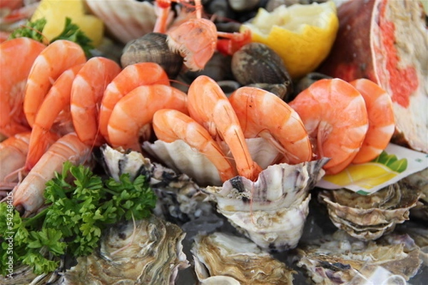 Obraz Fruits de mer