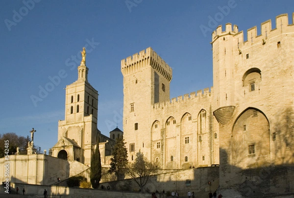 Fototapeta le palais des papes en avignon