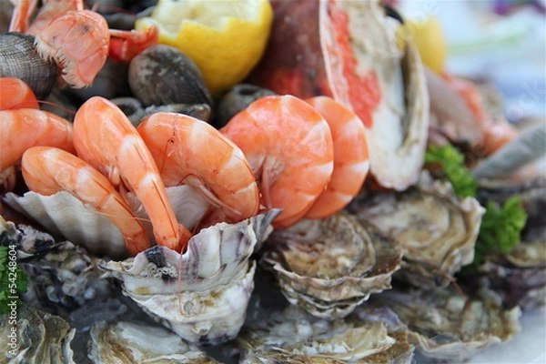 Obraz Fruits de mer