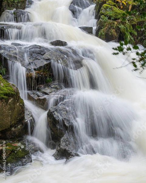 Obraz waterfall in the woods