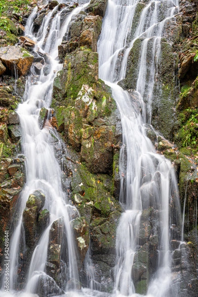Obraz waterfall in the woods