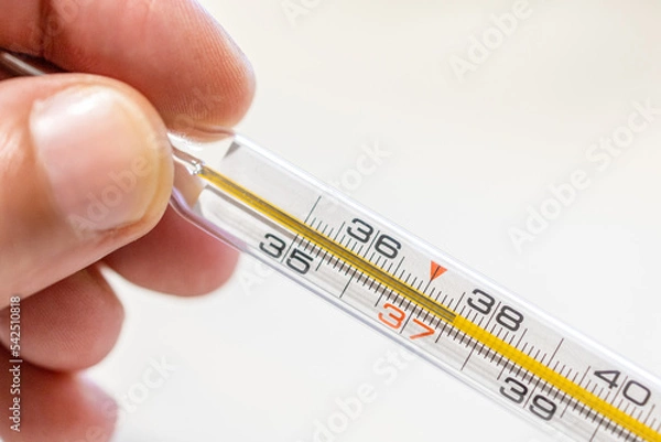 Fototapeta Hand holding the thermometer checking the temperature at 37,5 so it's fever.