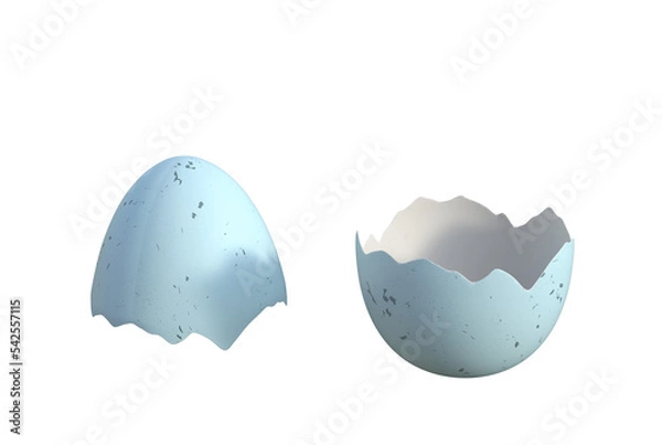 Obraz Broken egg 
