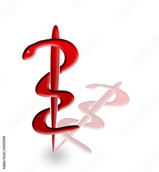 Fototapeta schlange mit stab