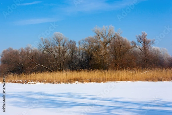Obraz Winter landscape