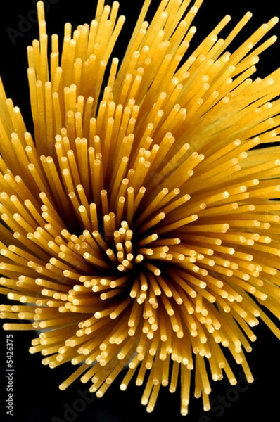 Obraz Espiral de espagueti