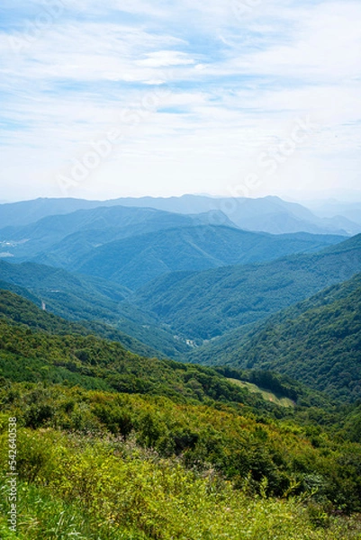 Fototapeta 산에서 바라본 풍경