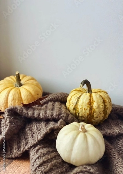 Obraz Pumpkins close up. Autumn flatlay