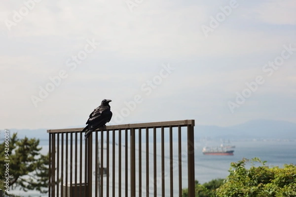 Obraz 函館の山の上から海を見下ろす。