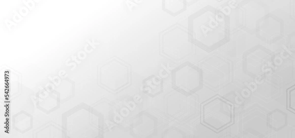Fototapeta Abstract gray and white hexagonal pattern tech template. Widely design decorative background.