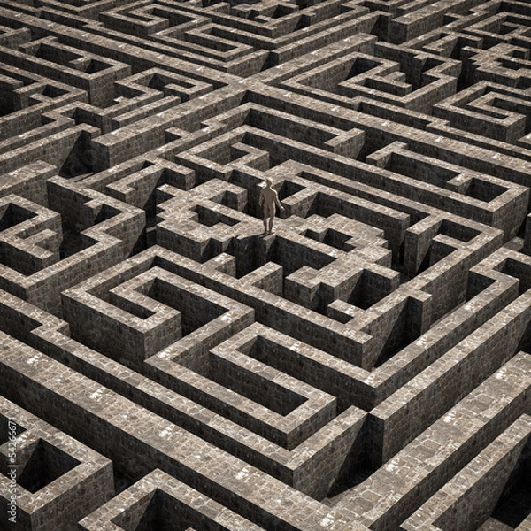 Fototapeta Dollar inside a maze