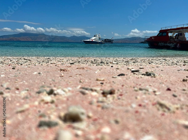 Obraz インドネシア、コモド諸島のピンクビーチ。