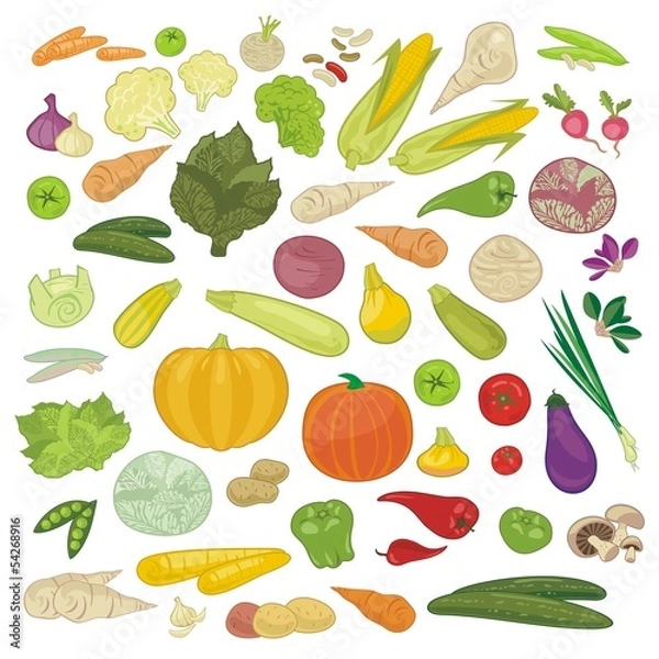 Fototapeta Various Vegetables Set