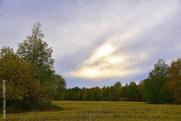 Obraz Rural fields in cloudy autumn weather