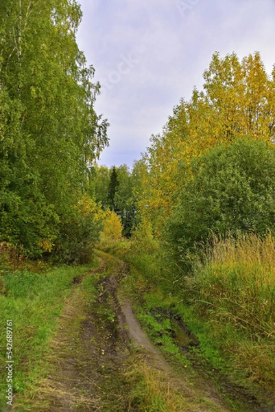 Obraz Rural fields in cloudy autumn weather