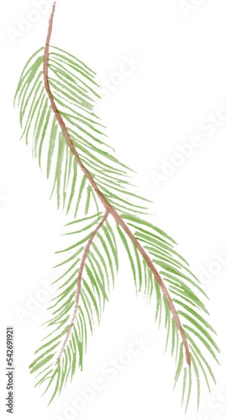 Obraz christmas tree branch