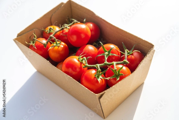 Obraz Barquette de tomates grappe.