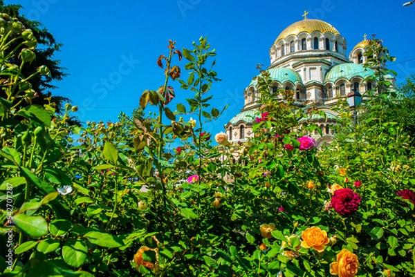 Obraz Fleurs devant la Cathédrale Nevski, Sofia, Bulgarie