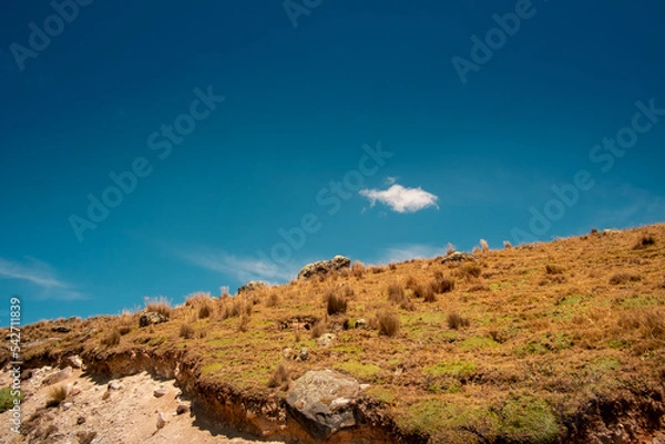 Obraz a frog shaped rock on top of the hill in the peruvian andes