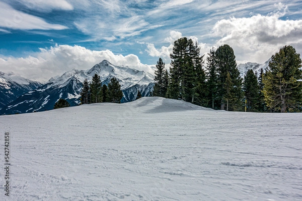 Fototapeta Tree lined ski piste with tracks 