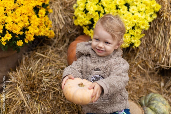 Fototapeta A small child holds a pumpkin in his hands on a background of hay