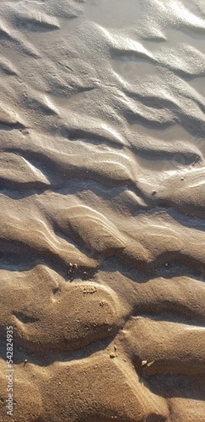 Obraz Sandy Beach Texture2