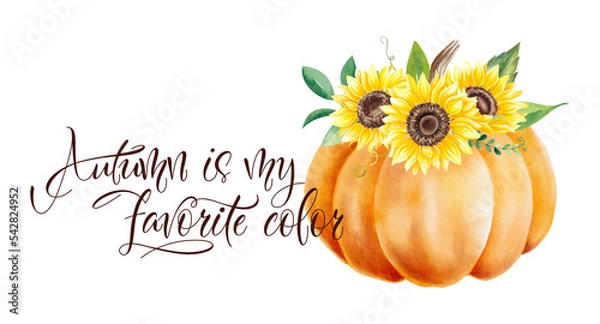 Obraz Autumn is my favorite color. Modern calligraphy phrase with watercolor pumpkin and sunflowers.  Isolated on white background.