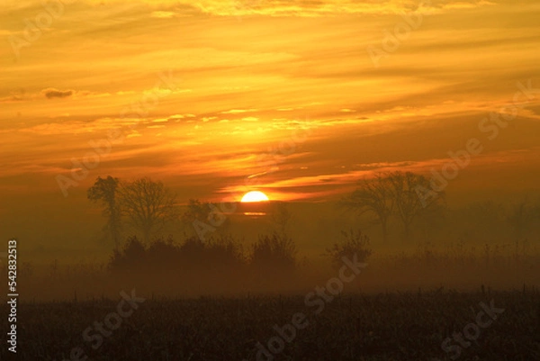 Obraz sunrise over the field