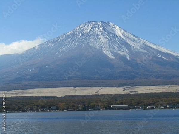 Fototapeta 世界遺産の富士山と山中湖