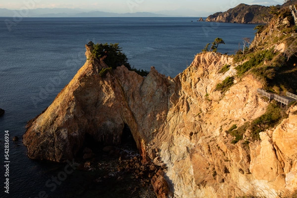 Obraz 自然が作った馬