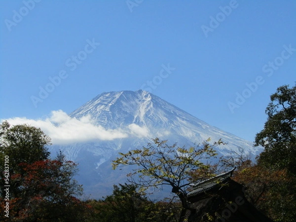 Fototapeta 世界遺産の富士山