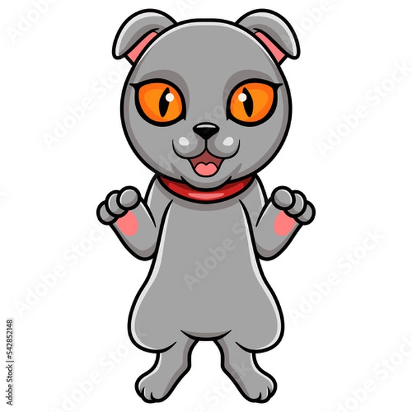 Obraz Cute scottish fold cat cartoon