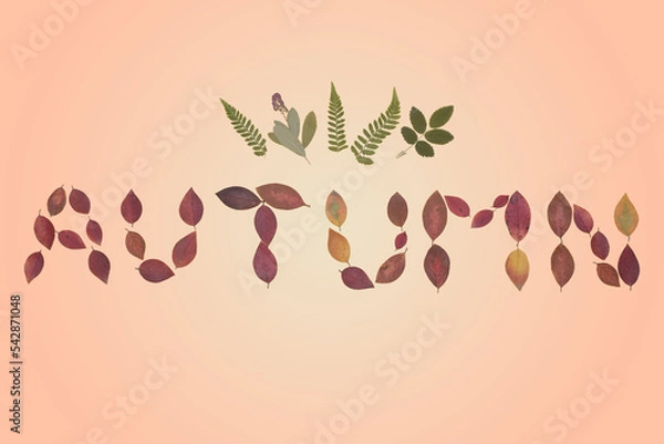 Obraz The inscription autumn, from the leaves, autumn leaves