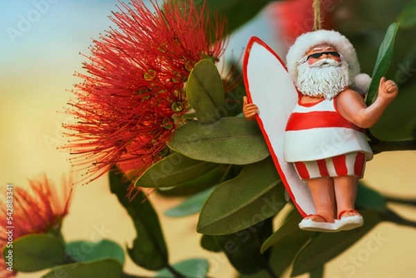Obraz Close-up of flowers of New Zealand's native Pohutukawa tree with Santa Christmas decoration. The tree flowers over the NZ summer and is often referred to as the New Zealand Christmas tree.