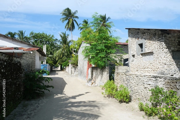 Fototapeta The resident area of rasdhoo with the local village houses. Rasdhoo is an inhabited island of the Maldives.