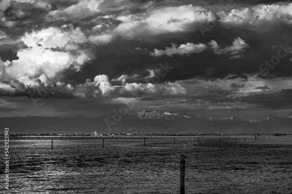 Fototapeta Towards the sunset. Marano Lagoon in Black and White