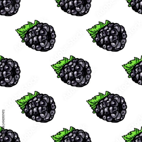 Fototapeta Seamless pattern with colored hand drawn blackberry. Suitable for packaging, wrappers, surface and fabric design. PNG illustration