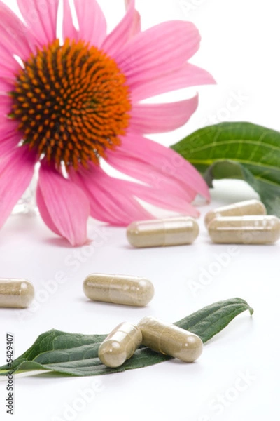 Fototapeta Echinacea extract pills and fresh Echinacea flowers