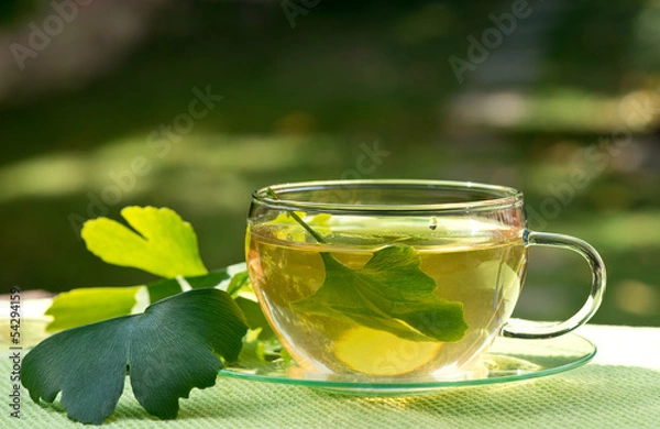 Obraz tea with ginkgo