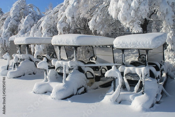 Obraz golf carts in snow
