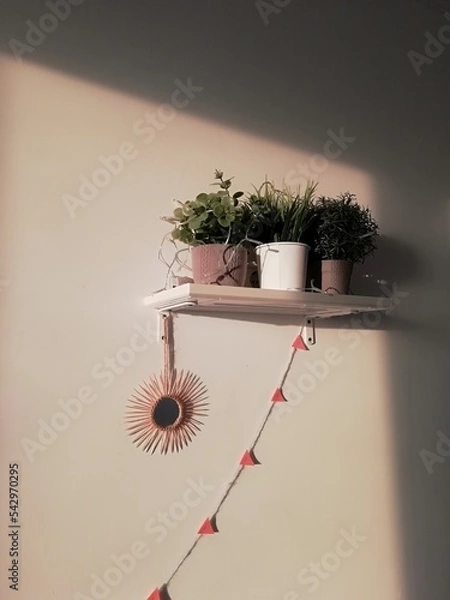 Obraz plant on the wall