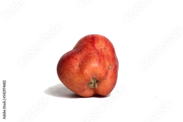 Obraz Concept of ugly food - red apple on white background