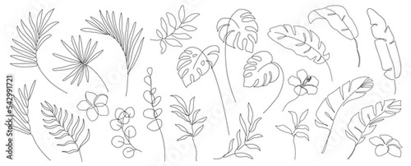 Fototapeta set of one line drawing modern minimalist tropical monstera eucalyptus banana exotic palm leaves branches and flowers silhouette on white background Botanical vector trendy greenery illustratrations