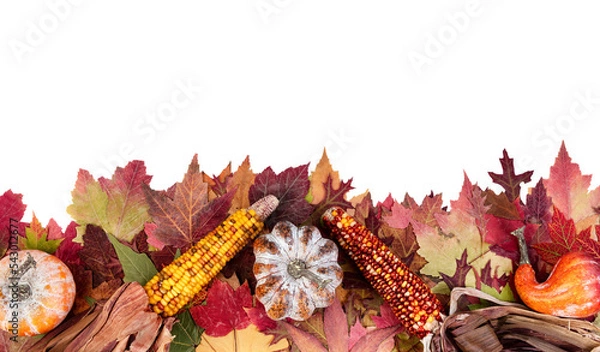 Fototapeta Autumn or fall leaf border with leaves and gourds on transparent background for the Thanksgiving holiday season