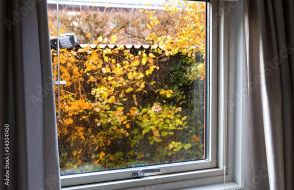 Obraz View from the window to the garden in the autumn on a rainy day. Raindrops on the window glass.